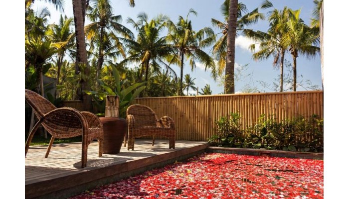 Hotel De Ubud Villas Spa poza 17