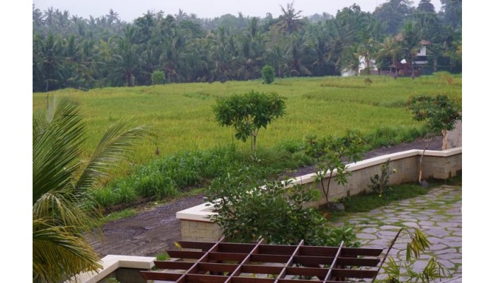Radha Phala Resort And Spa poza 6